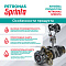 PETRONAS SPRINTA T900 1л